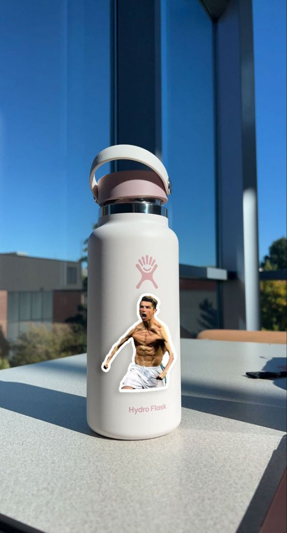 Cristiano Ronaldo Memes Komik 16lı Laptop, Tablet, Cep Telefonu, Ajanda, Matara Sticker Seti - 3