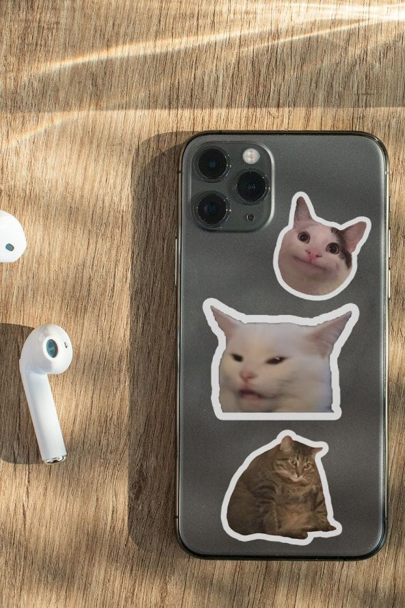 Şapşal Kediler 10lu Laptop Notebook Tablet Sticker Seti - 2