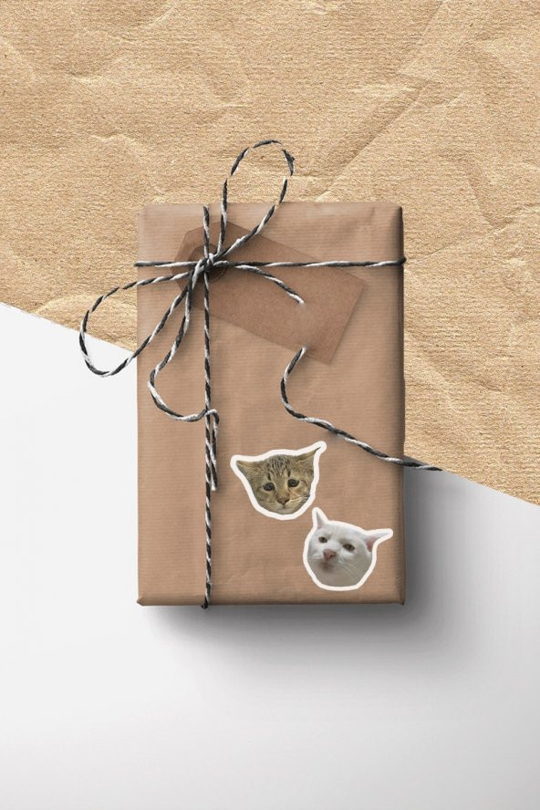 Şapşal Kediler 10lu Laptop Notebook Tablet Sticker Seti - 3