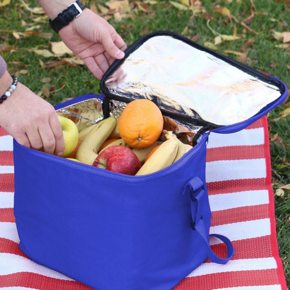 Automix Termos Çanta 15 Lt Termo Piknik Kamp Soğuk Sıcak Isı Yalıtımlı Yiyecek Taşıma Çantası Mavi - 2