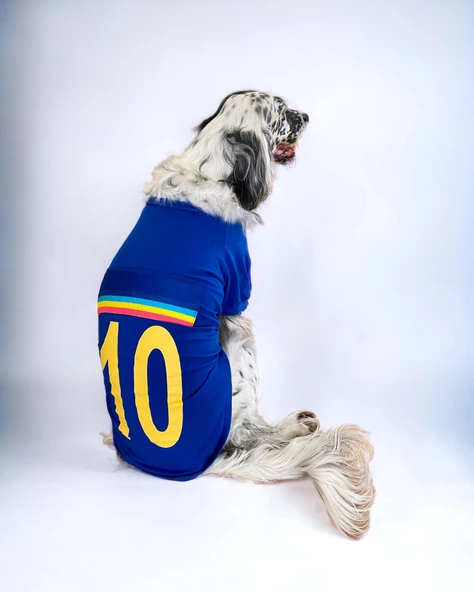 Uno Blue Büyük Irk Köpekler İçin Tişört