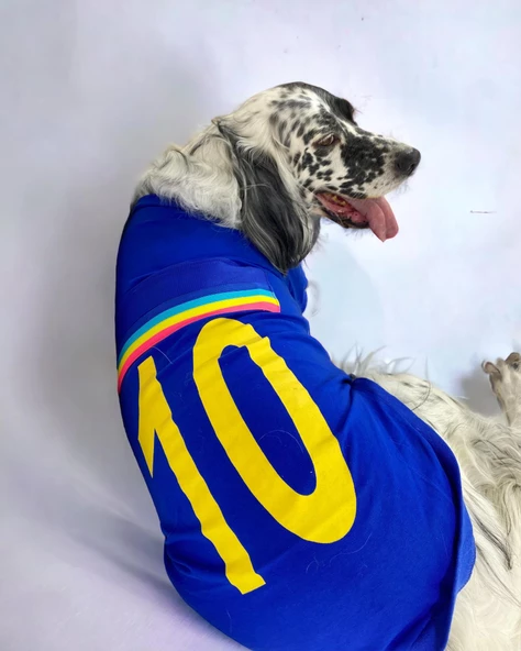 Uno Blue Büyük Irk Köpekler İçin Tişört - 3