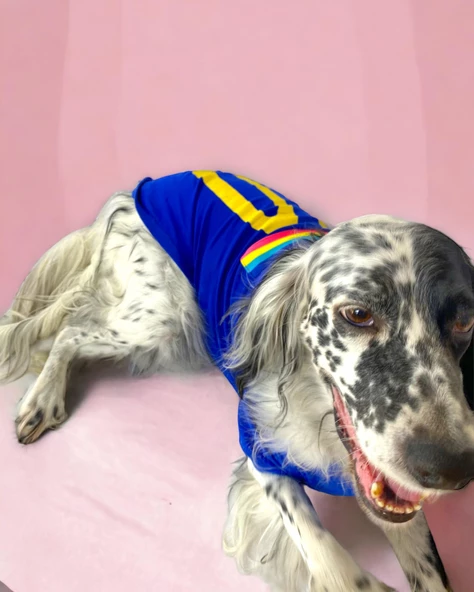 Uno Blue Büyük Irk Köpekler İçin Tişört - 4