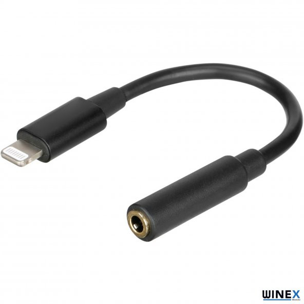 Global GFZ Lightning to 3.5mm Çevirici Adaptör WNE0106 - 2