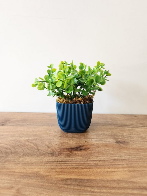 Mini Saksıda Yapay Bitki Şimşir Gerçek Taş Yosunlu Toplam 16 Cm Dekoratif Banyo Mutfak Masa Çiçeği - 2