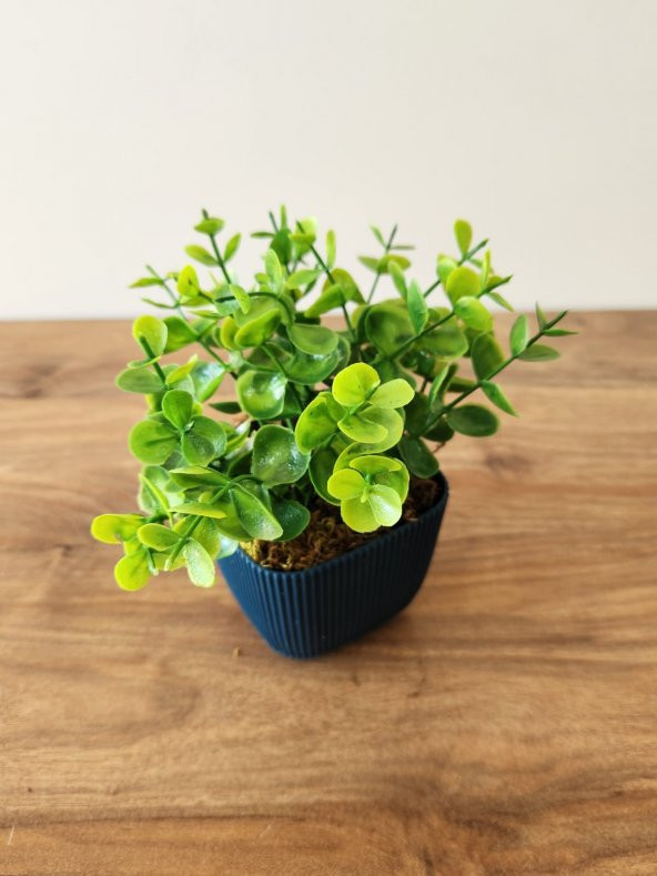 Mini Saksıda Yapay Bitki Şimşir Gerçek Taş Yosunlu Toplam 16 Cm Dekoratif Banyo Mutfak Masa Çiçeği - 3
