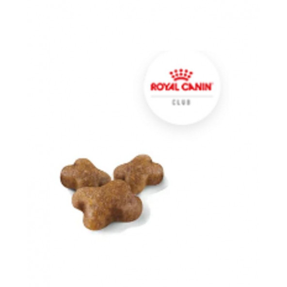 Royal Canin Kitten Yavru Kedi Kuru Maması 4 kg - 5