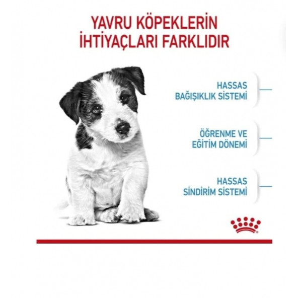 Royal Canin Mini Pupy Mini Yavru Irk Köpek Maması 4 kg - 2
