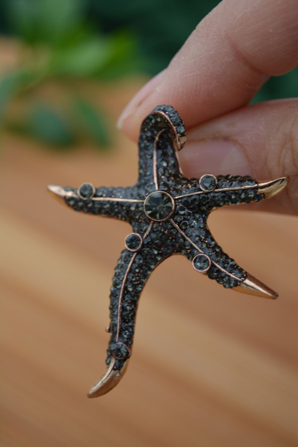 STONEAGE Deniz Yıldızı Zirkon Taşlı Bayan Küpe Madeni Bronz ürün görseli