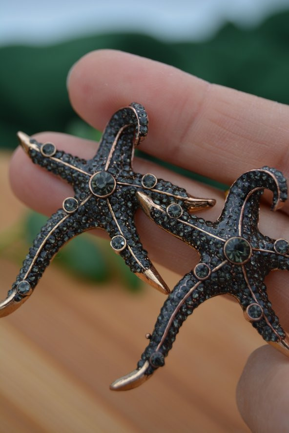STONEAGE Deniz Yıldızı Zirkon Taşlı Bayan Küpe Madeni Bronz - Resim 3