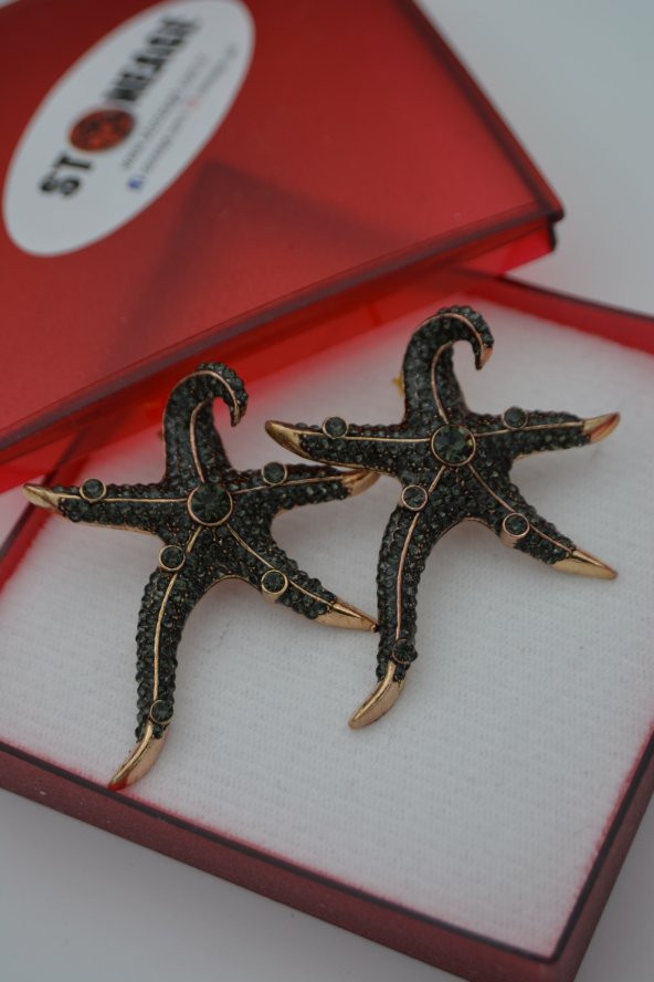 STONEAGE Deniz Yıldızı Zirkon Taşlı Bayan Küpe Madeni Bronz - Resim 6