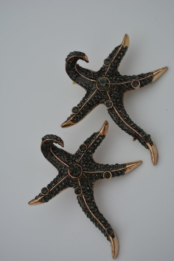 STONEAGE Deniz Yıldızı Zirkon Taşlı Bayan Küpe Madeni Bronz - Resim 7