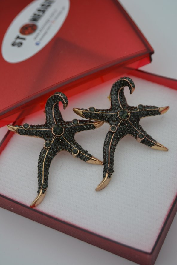 STONEAGE Deniz Yıldızı Zirkon Taşlı Bayan Küpe Madeni Bronz - Resim 8
