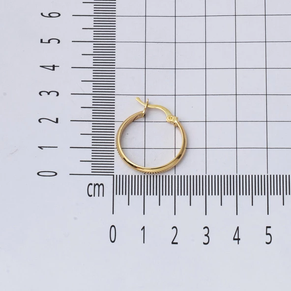14 Ayar 2,5 cm. Çaplı Klasik Halka Küpe - Resim 5