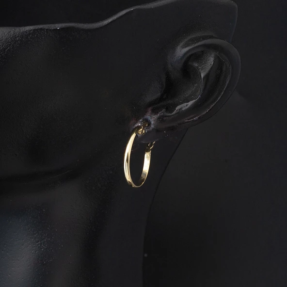 14 Ayar 2 cm. Çaplı Klasik Halka Altın Küpe - 2