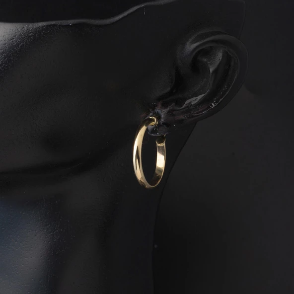 14 Ayar 2,5 cm. Çaplı Klasik Halka Küpe - Resim 2