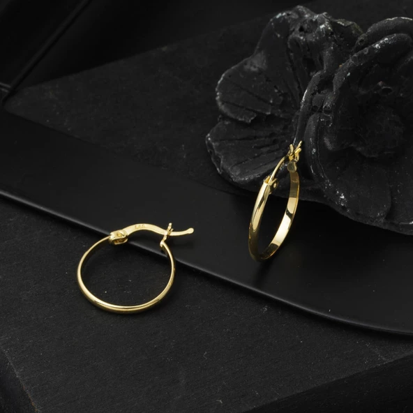 14 Ayar 2 cm. Çaplı Klasik Halka Altın Küpe - 4