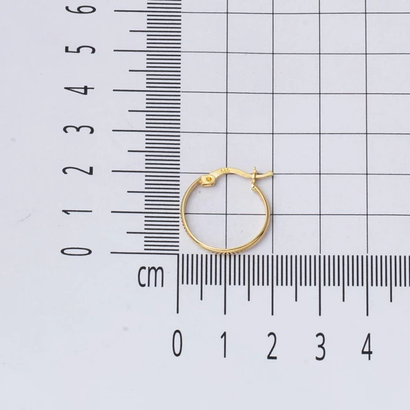 14 Ayar 2 cm. Çaplı Klasik Halka Altın Küpe - 5