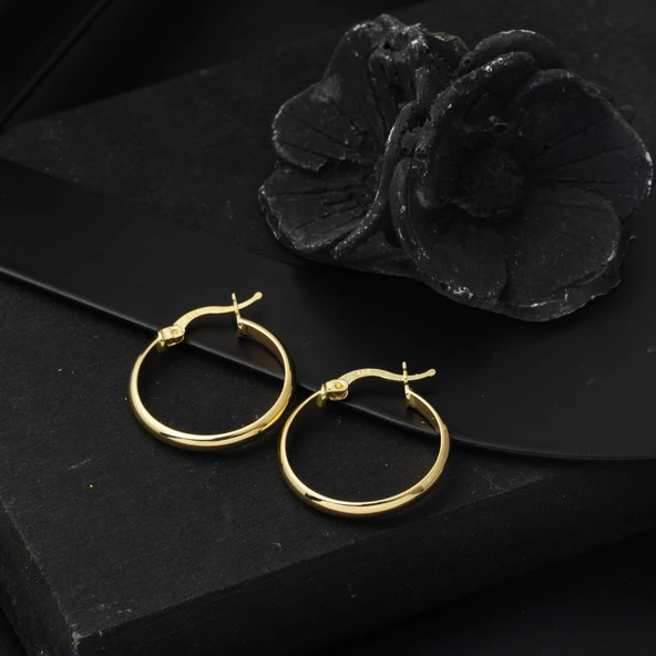 14 Ayar 2,5 cm. Çaplı Klasik Halka Küpe - Resim 4