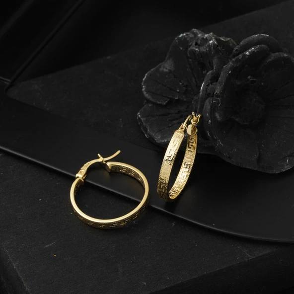 14 Ayar 2,5 cm. Çaplı Versage Halka Küpe Altın - Resim 4