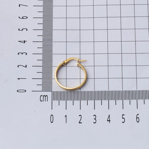 14 Ayar 2,5 cm. Çaplı Versage Halka Küpe Altın - Resim 5