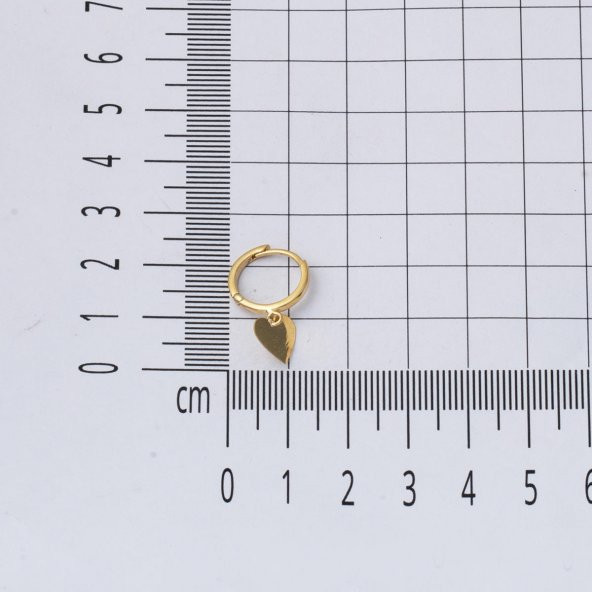 14 Ayar Kalp Figürlü Sallantılı Altın Küpe - 5