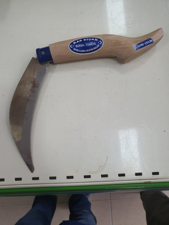 Has Bıçak Fındık Işkın Alma Bıçağı