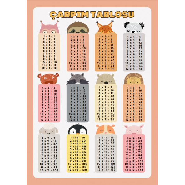 Çocuklar İçin Matematik Dört İşlem Alıştırmaları Kitap Seti - 5