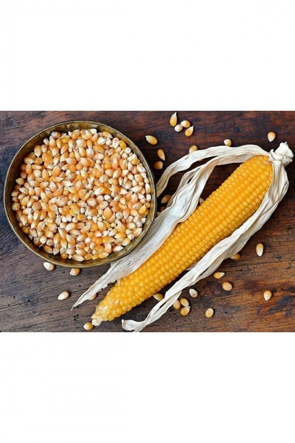 Altunsa Patlayan Mısır 900 gr - 2