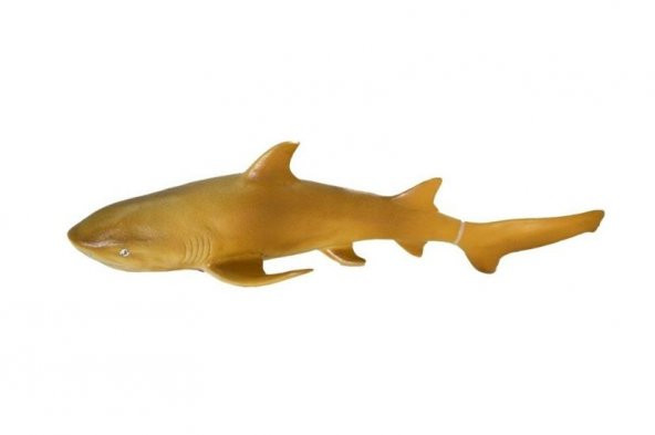 Deniz Hayvanları Serisi - E022-SarıKöpekbalığı
