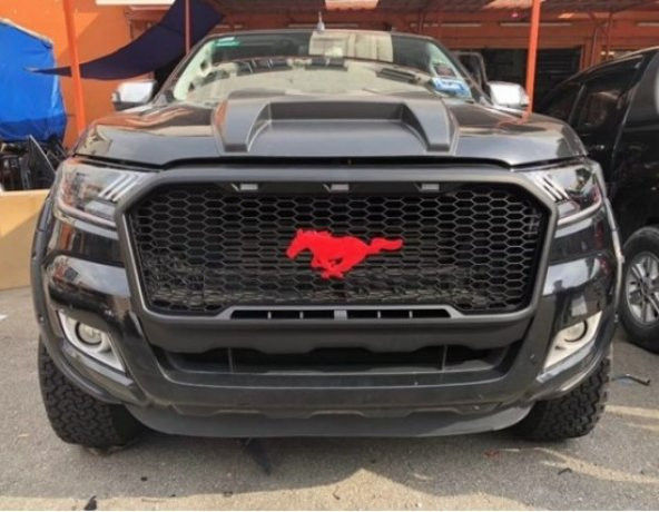 RANGER T8 WILDTRACK 2019 + MUSTANG ON PAJUR