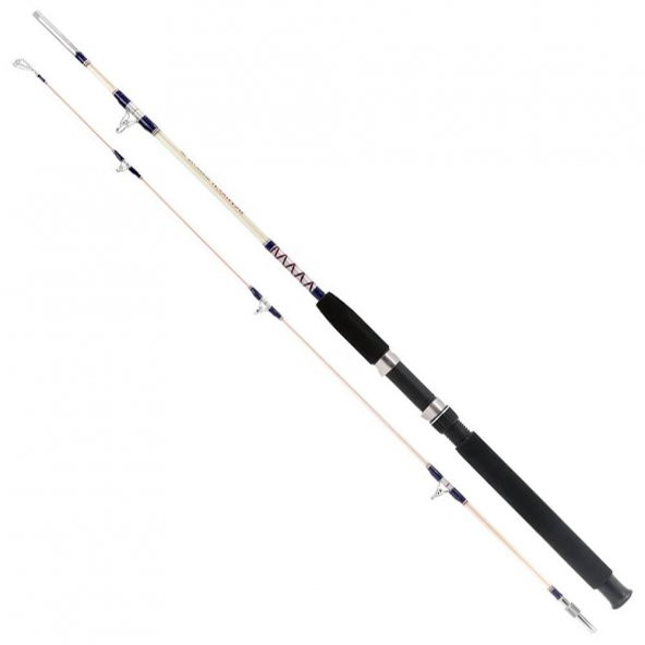 Remixon Hurricane 210Cm 20-40Lbs 2P Tekne Kamışı