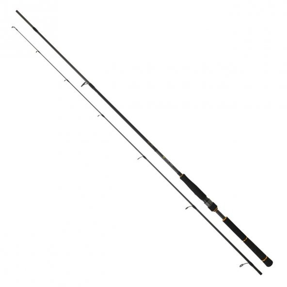 Daiwa New BG Seabass 244 cm 7-28 gr 2 Parça Spin Olta Kamışı