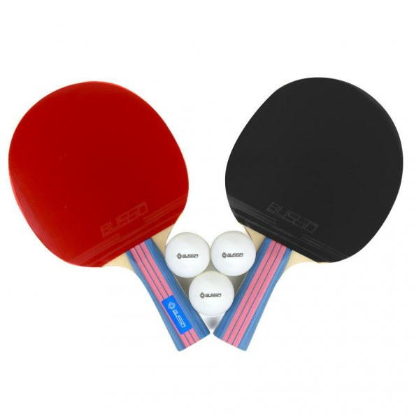 BS3110 HUDSON SET(**) (2 RAKET+3TOP)--ÇANTALI - 2