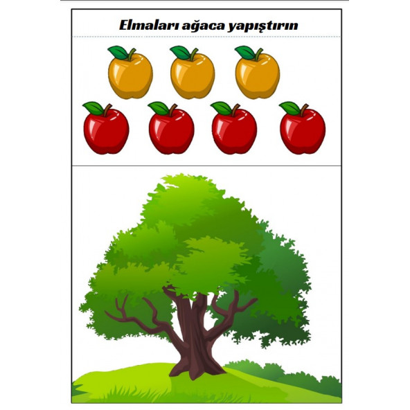 Laminasyonlu KES-YAPIŞTIR Eğitim Seti - Resim 3