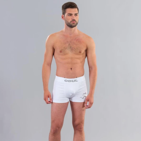 ÖDÜL 2073 ERKEK BOXER BEYAZ