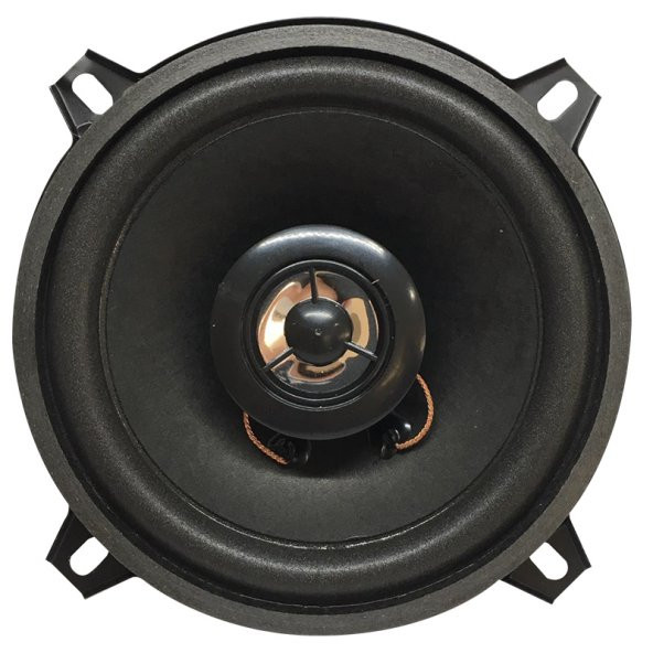 Powermaster PW-13T 4 Ohm 100 Watt 13 Cm Tweteerlı Tekli Hoparlör - 3
