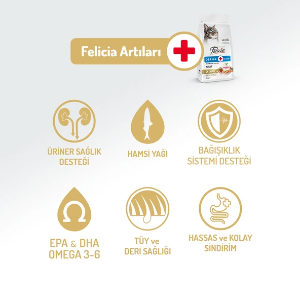 Felicia Az Tahıllı 12 Kg Somonlu Yetişkin Kedi Maması - Resim 7