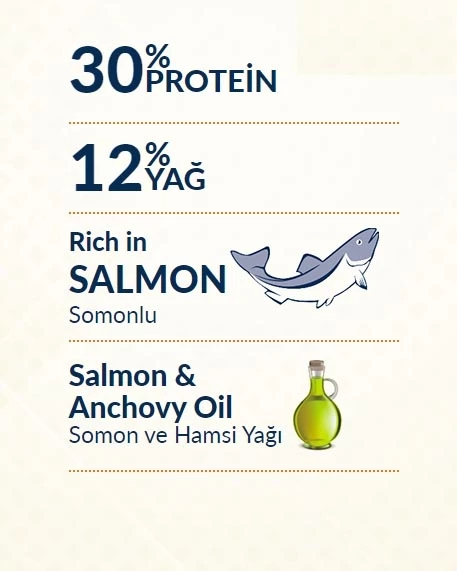 Felicia 2 Kg Somonlu Az Tahıllı Kısırlaştırılmış Kedi Maması HypoAllergenic Kedi Maması - 10