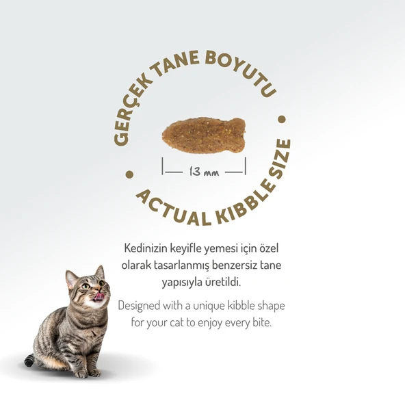 Felicia Az Tahıllı 12 Kg Somonlu Yetişkin Kedi Maması - Resim 12