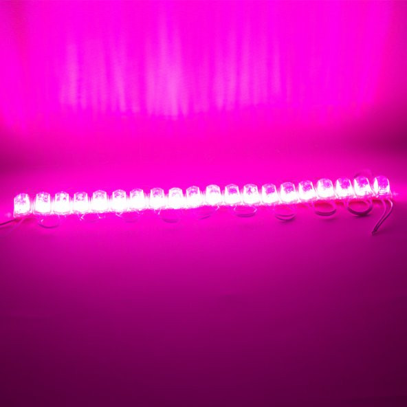 POWERMASTER MODÜL LED 12V 1.5W PEMBE 2835 85X73 MM IP65 240-260LM 180 DERECE - 4