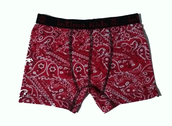 12 li Paket İntimo Kids Erkek Çocuk Desenli Likralı Boxer - Resim 2