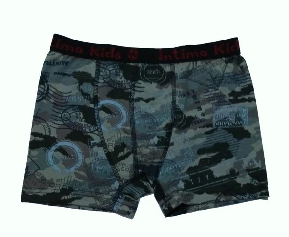 12 li Paket İntimo Kids Erkek Çocuk Desenli Likralı Boxer - Resim 3