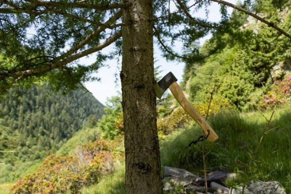 Prandi 900gr Yankee Balta 50cm Hikori Sap - 3