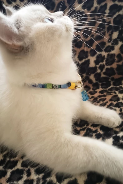 Zilli Kedi Köpek Boyun Tasması Bohem Kedi Kolyesi Yaylı Kilit - Açık Mavi - 2