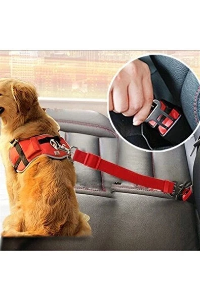 Kedi Köpek Emniyet Kemerli Tasma İpi - 6