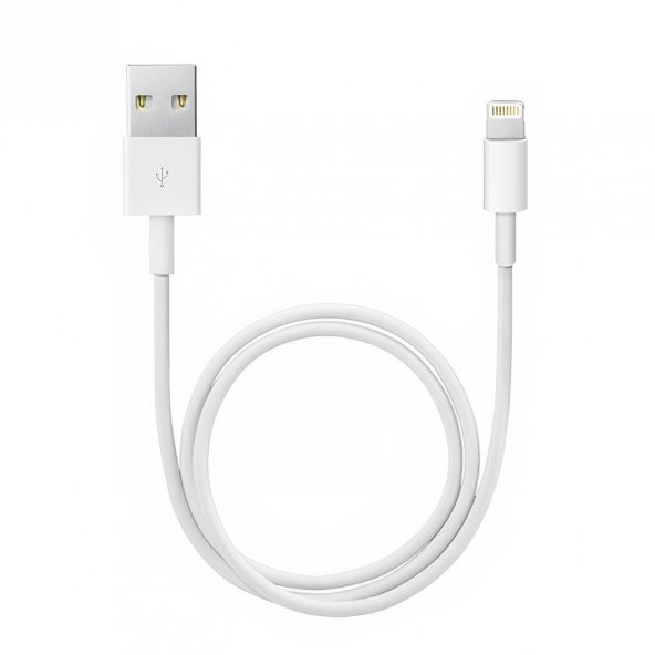 Powermaster Lightning USB Şarj Ve Data Kablosu - Resim 2