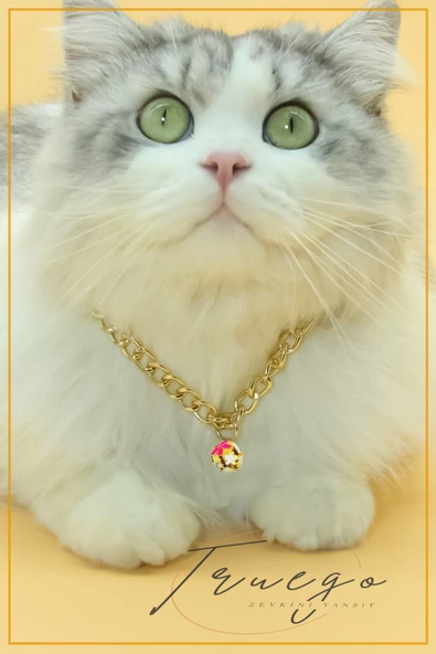 Zincir Kedi Kolyesi Renkli Zilli Kedi Köpek Tasması - 3