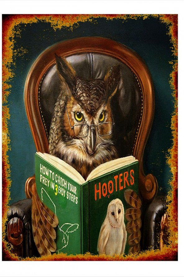 Bedeko Kitap Okuyan Baykuş Desenli Ahşap Tablo 25 cm x 35 cm