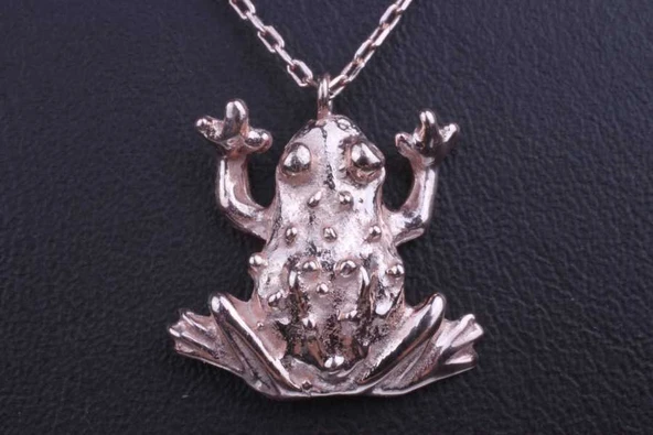 925 Ayar Gümüş Kurbağa Kolye, Pembe - Resim 4